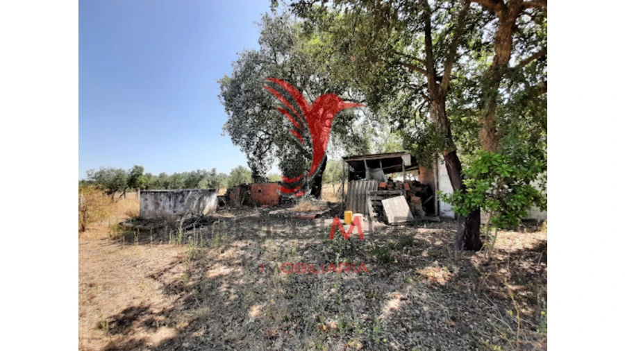 Quinta para Venda em Torrão Foto 10