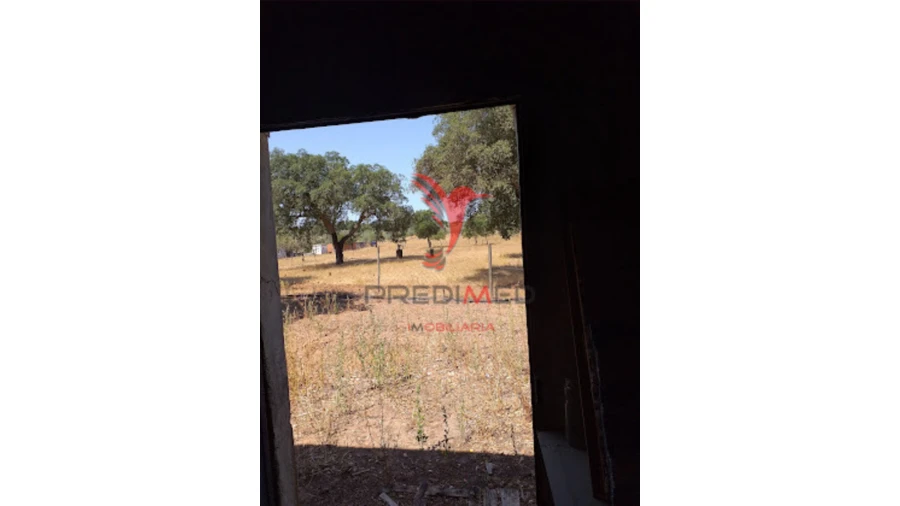 Quinta para Venda em Torrão Foto 11