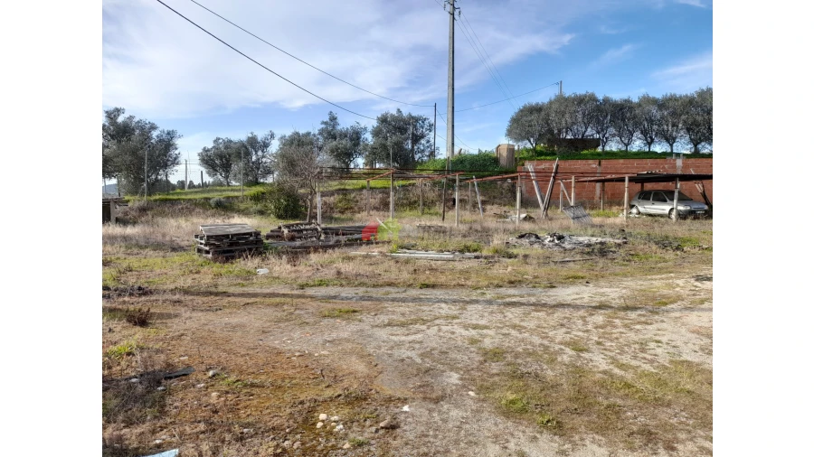 Negócio para Venda em Vidigueira Foto 4