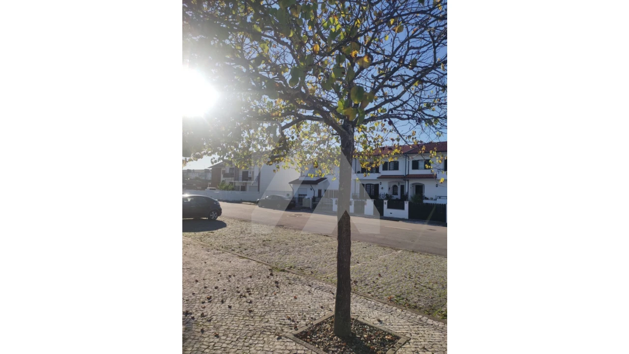 Terreno para Venda em Ovar, São João, Arada e São Vicente de Pereira Jusã Foto 4