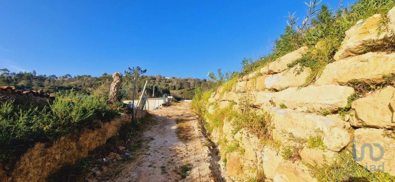 Terreno para Venda em Mafra Foto 10