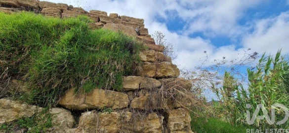 Terreno para Venda em Mafra