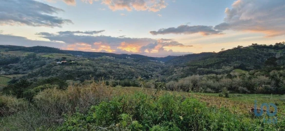 Terreno para Venda em Mafra