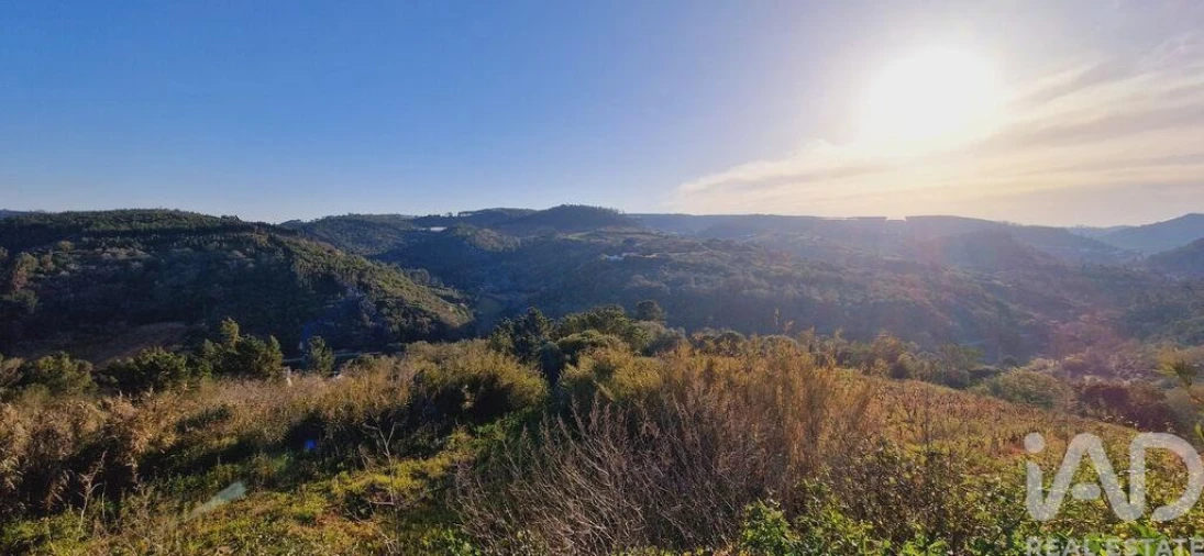Terreno para Venda em Mafra Foto 16
