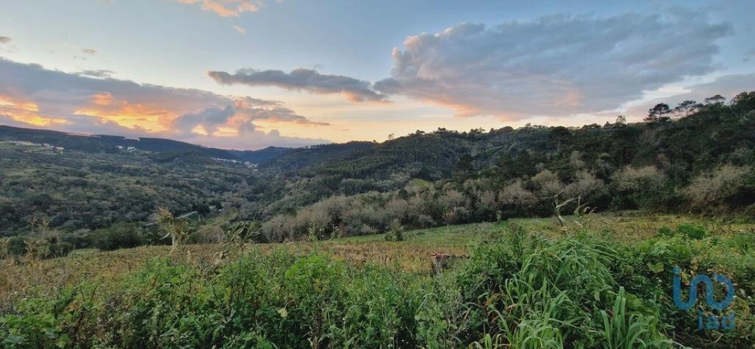 Terreno para Venda em Mafra Foto 2