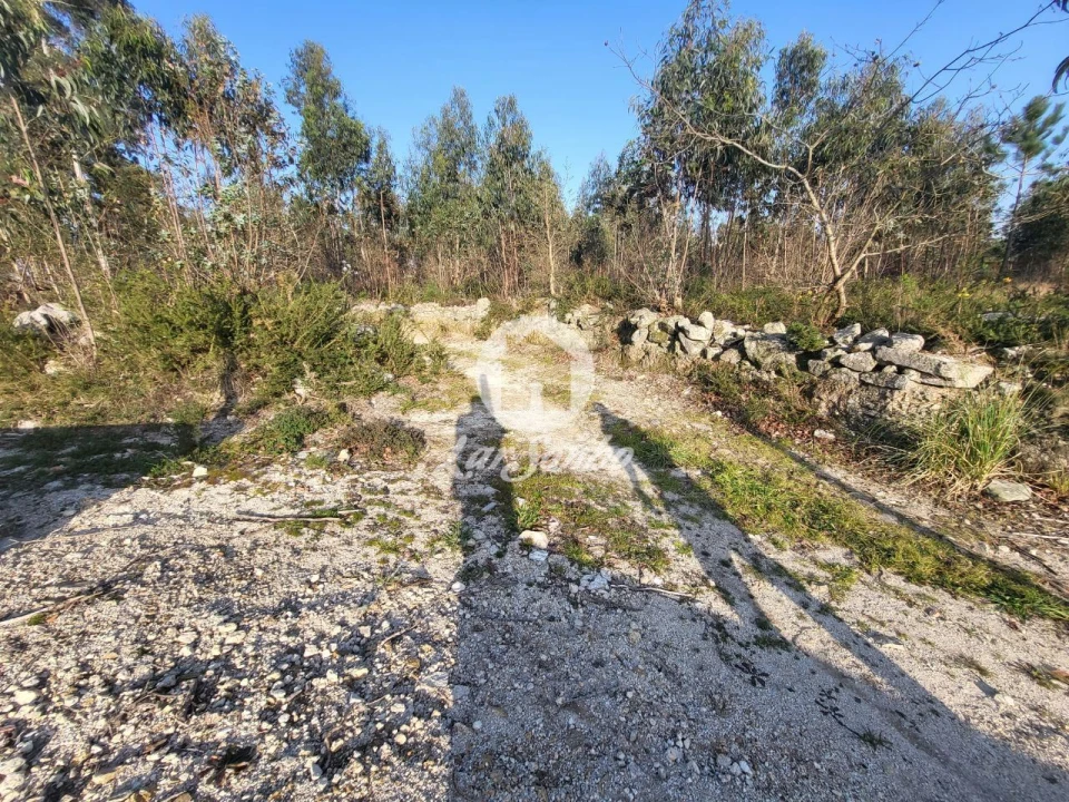 Terreno Agricola ou Rústico para Venda em Póvoa de Varzim, Beiriz e Argivai Foto 4