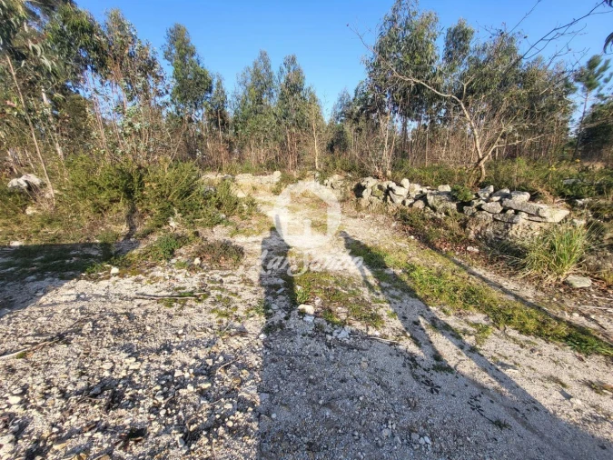 Terreno Agricola ou Rústico para Venda em Póvoa de Varzim, Beiriz e Argivai Foto 4