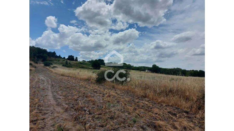 Terreno para Venda em Cabeção Foto 6