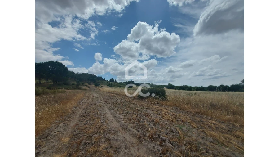 Terreno para Venda em Cabeção Foto 3