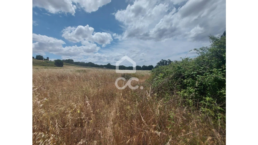Terreno para Venda em Cabeção Foto 8
