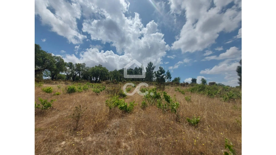 Terreno para Venda em Cabeção