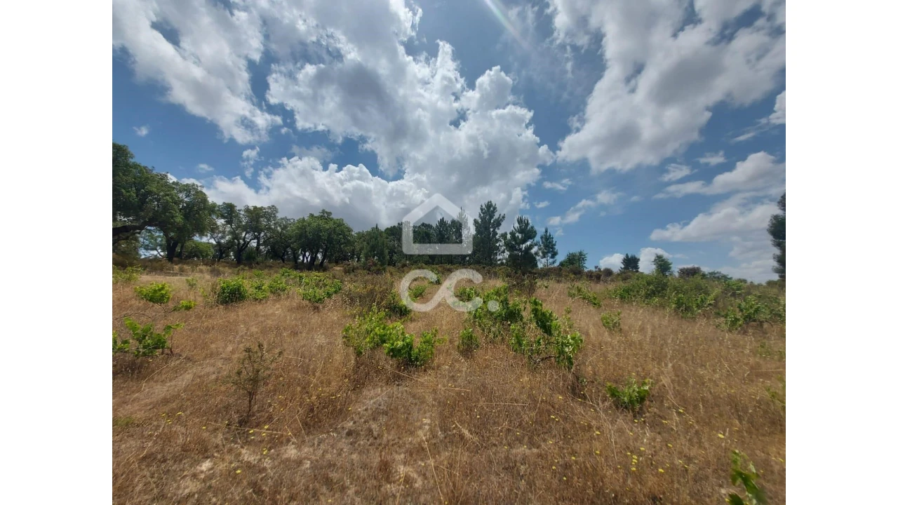 Terreno para Venda em Cabeção Foto 1