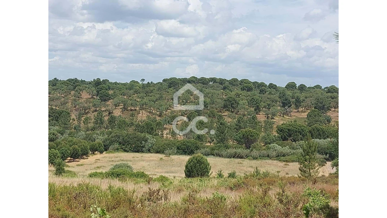 Terreno para Venda em Cabeção Foto 4