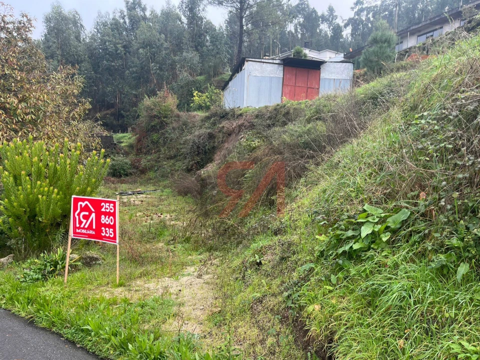 Terreno para Venda em Rebordosa Foto 3