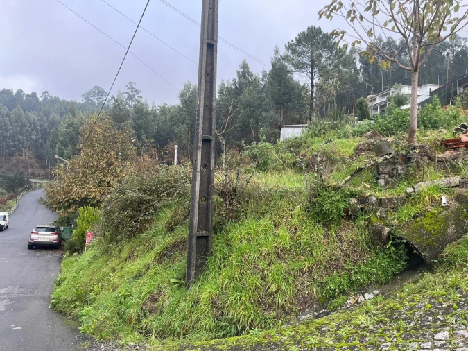 Terreno para Venda em Rebordosa Foto 5