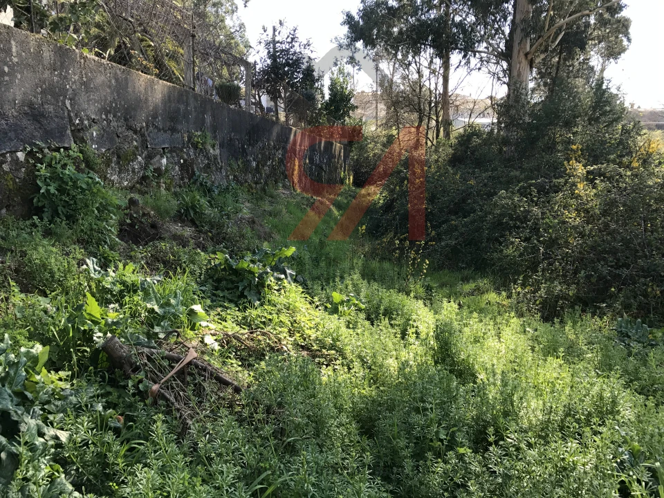 Terreno para Venda em Frazão Arreigada Foto 3