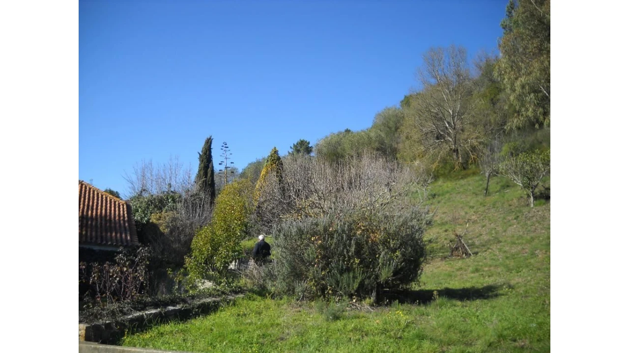 Terreno para Venda em Leiria, Pousos, Barreira e Cortes Foto 2