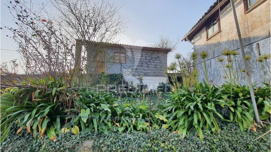 Quinta para Venda em Longos Foto 15