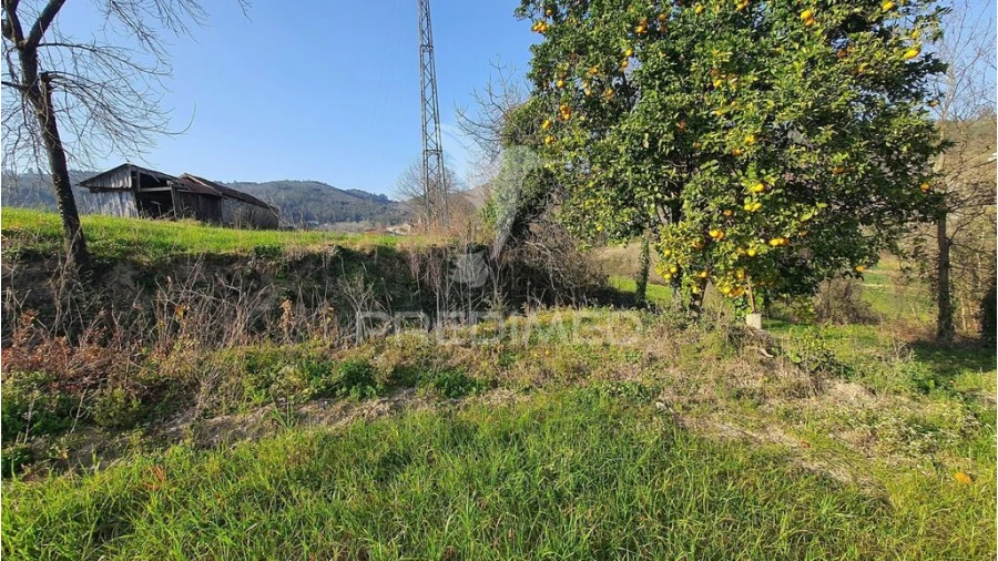 Quinta para Venda em Longos Foto 8