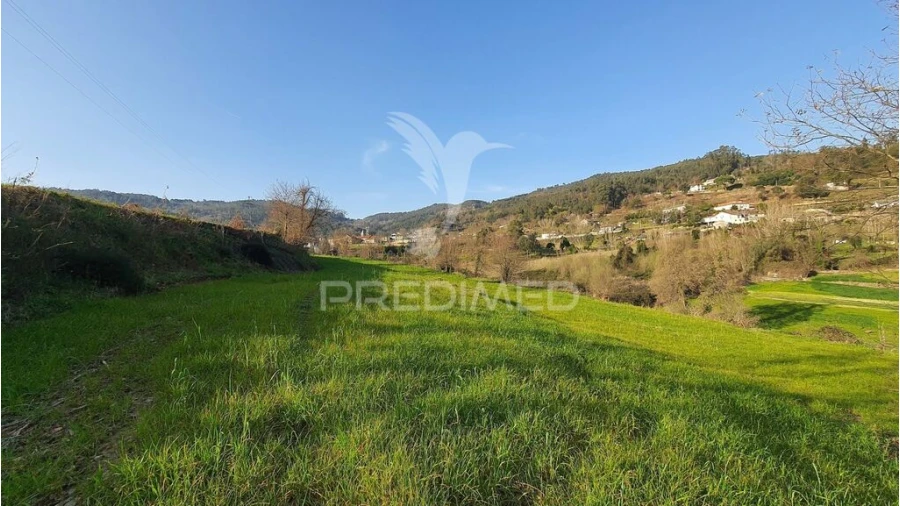 Quinta para Venda em Longos Foto 11