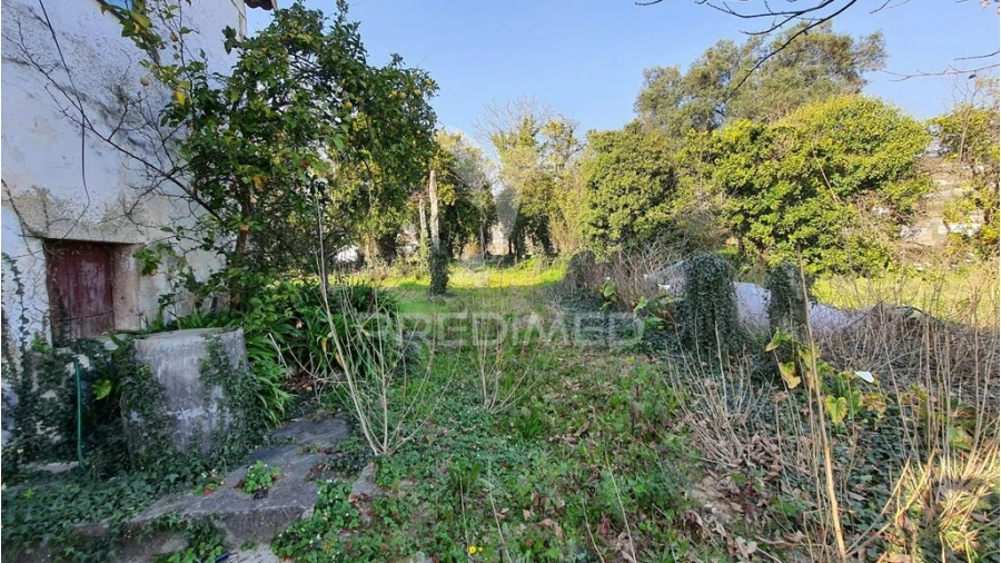 Quinta para Venda em Longos Foto 4