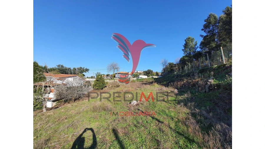 Terreno para Venda em Água Longa Foto 3