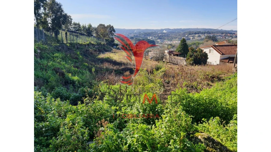 Terreno para Venda em Água Longa Foto 2