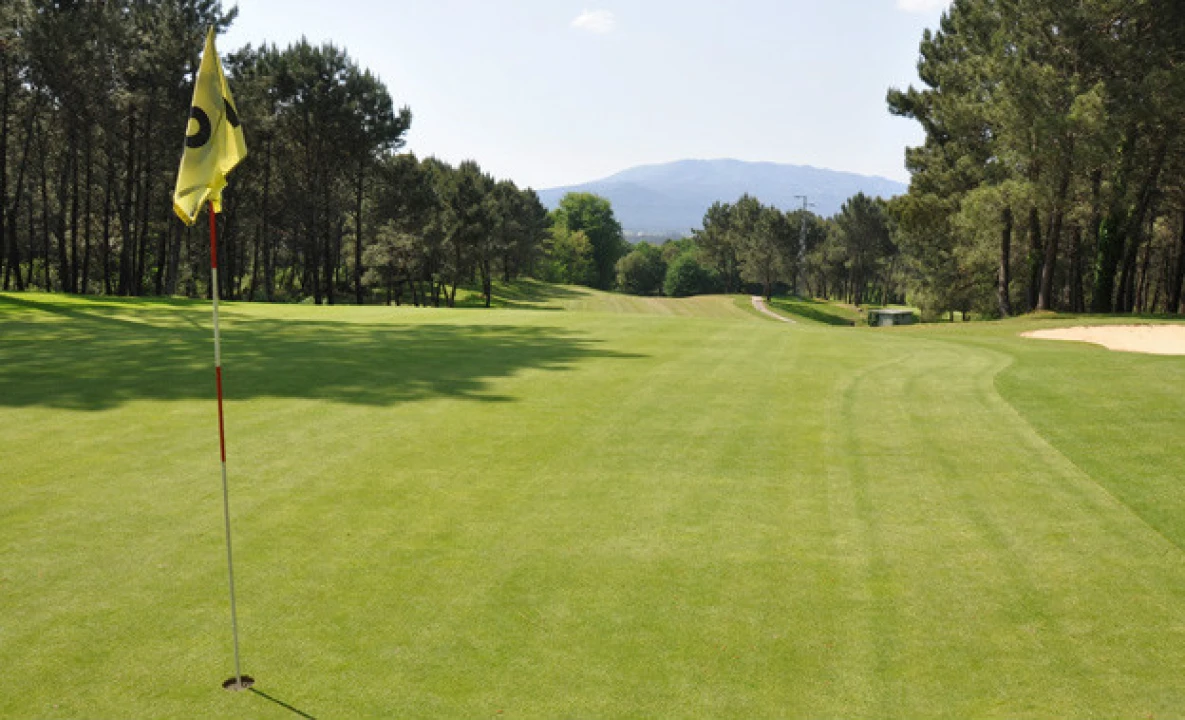 Moradia T3 para Venda em Fornelos e Queijada Foto 1