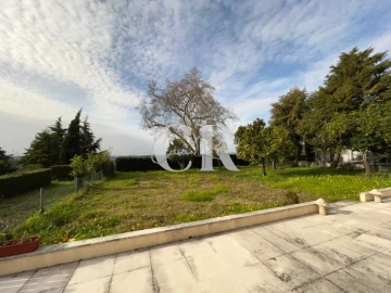 Negócio para Trespasse em Condeixa-A-Velha e Condeixa-A-Nova