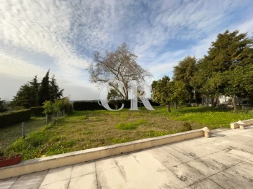 Negócio para Trespasse em Condeixa-A-Velha e Condeixa-A-Nova