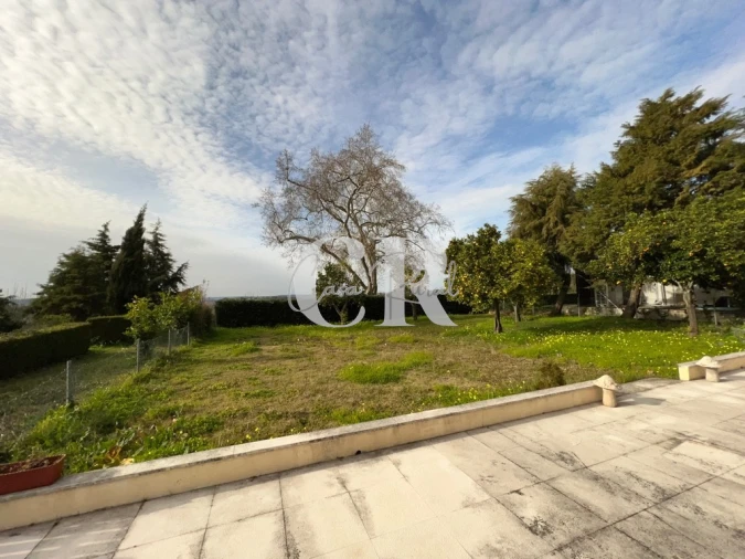 Negócio para Trespasse em Condeixa-A-Velha e Condeixa-A-Nova Foto 27