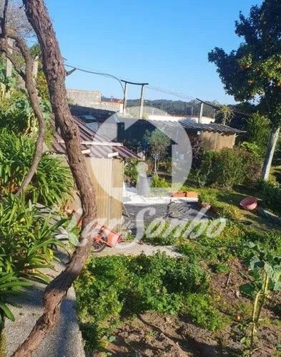 Moradia T2 para Venda em Gião Foto 3