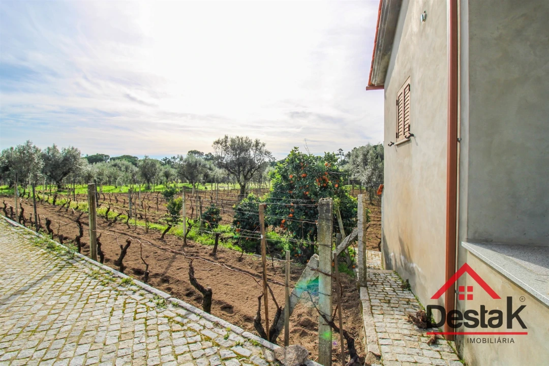 Quinta T0 para Venda em Silgueiros Foto 1
