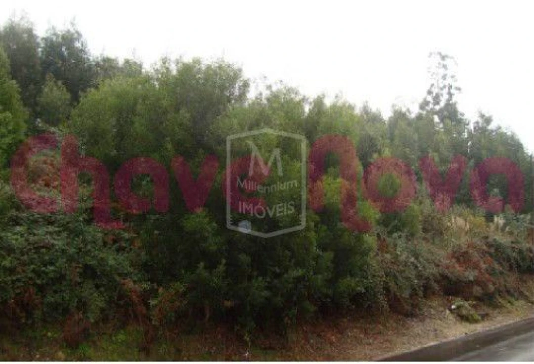 Terreno P/ Prédio para Venda em Arcozelo Foto 1