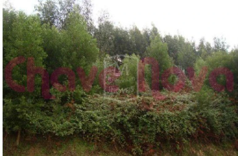 Terreno P/ Prédio para Venda em Arcozelo Foto 2