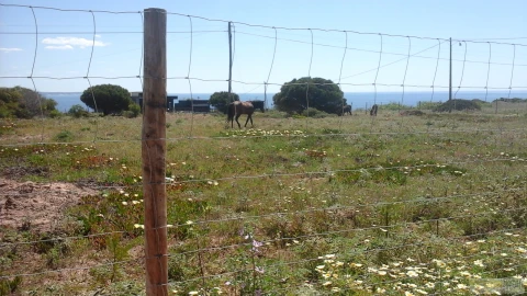 Terreno para Venda em Lagos (São Sebastião e Santa Maria)