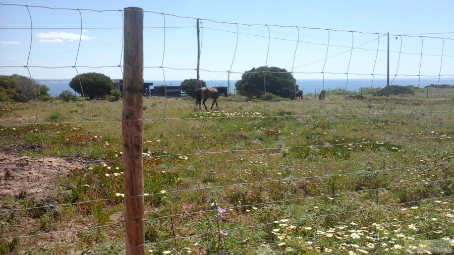 Terreno para Venda em Lagos (São Sebastião e Santa Maria) Foto 10