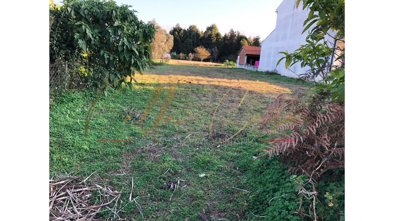 Terreno para Venda em Macinhata do Vouga Foto 7