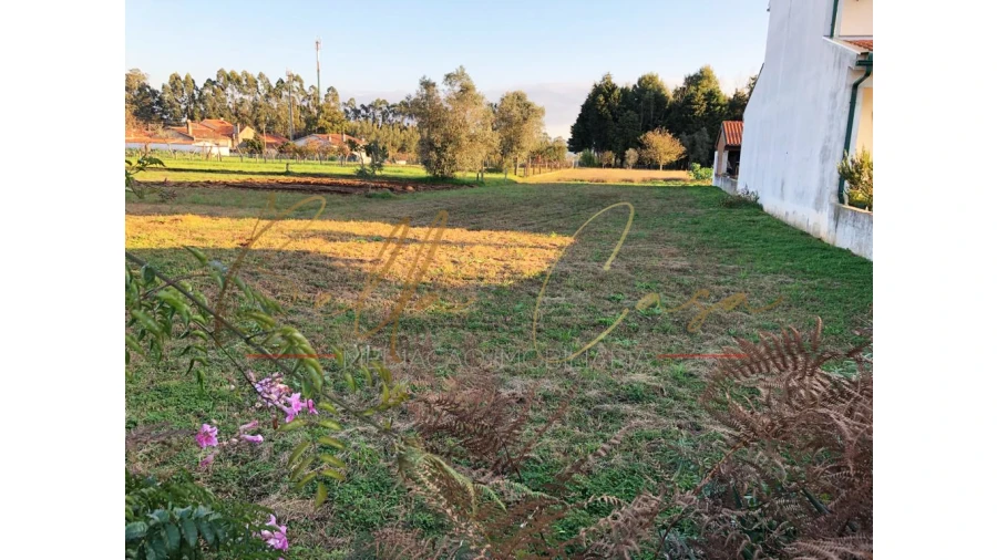 Terreno para Venda em Macinhata do Vouga Foto 6