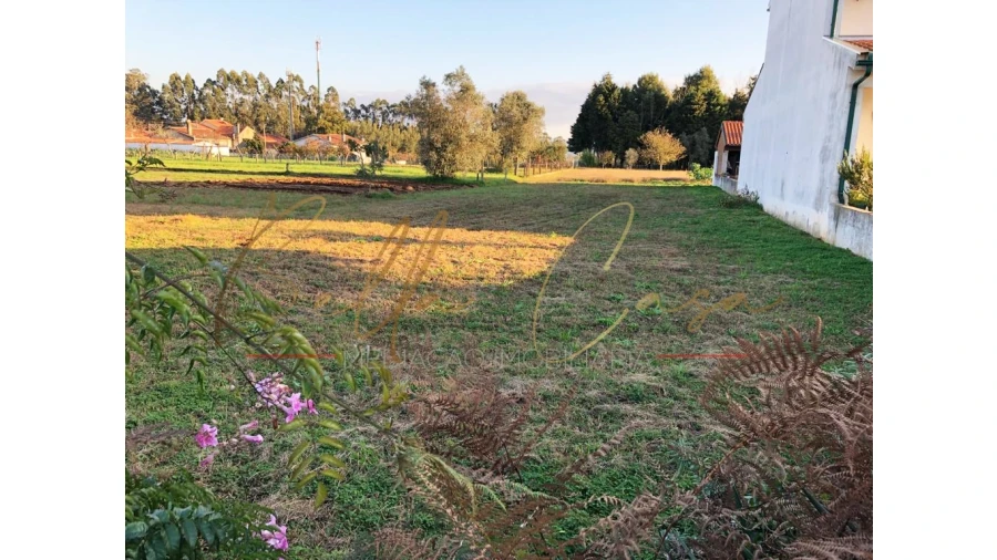 Terreno para Venda em Macinhata do Vouga Foto 10