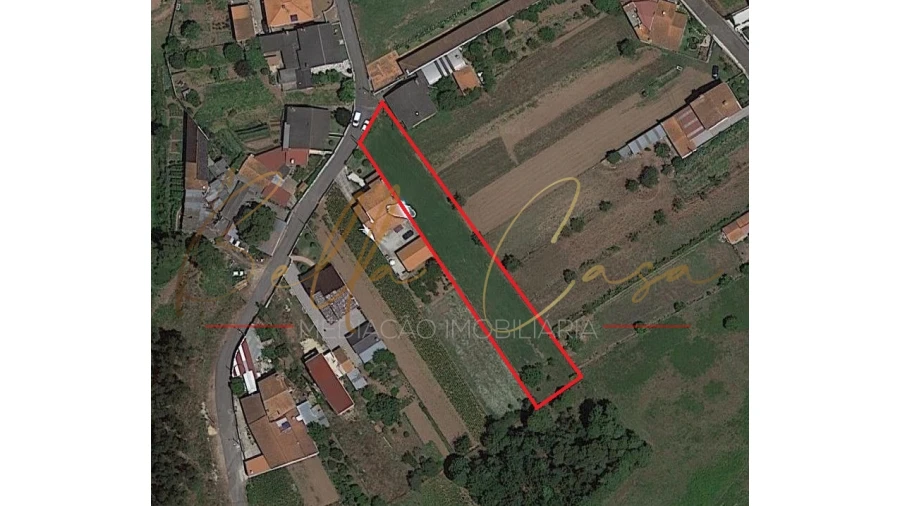 Terreno para Venda em Macinhata do Vouga Foto 1