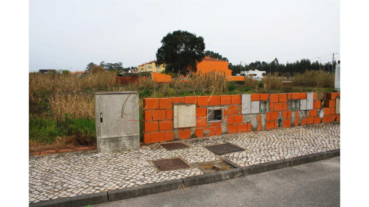 Terreno para Venda em Vagos e Santo António Foto 3