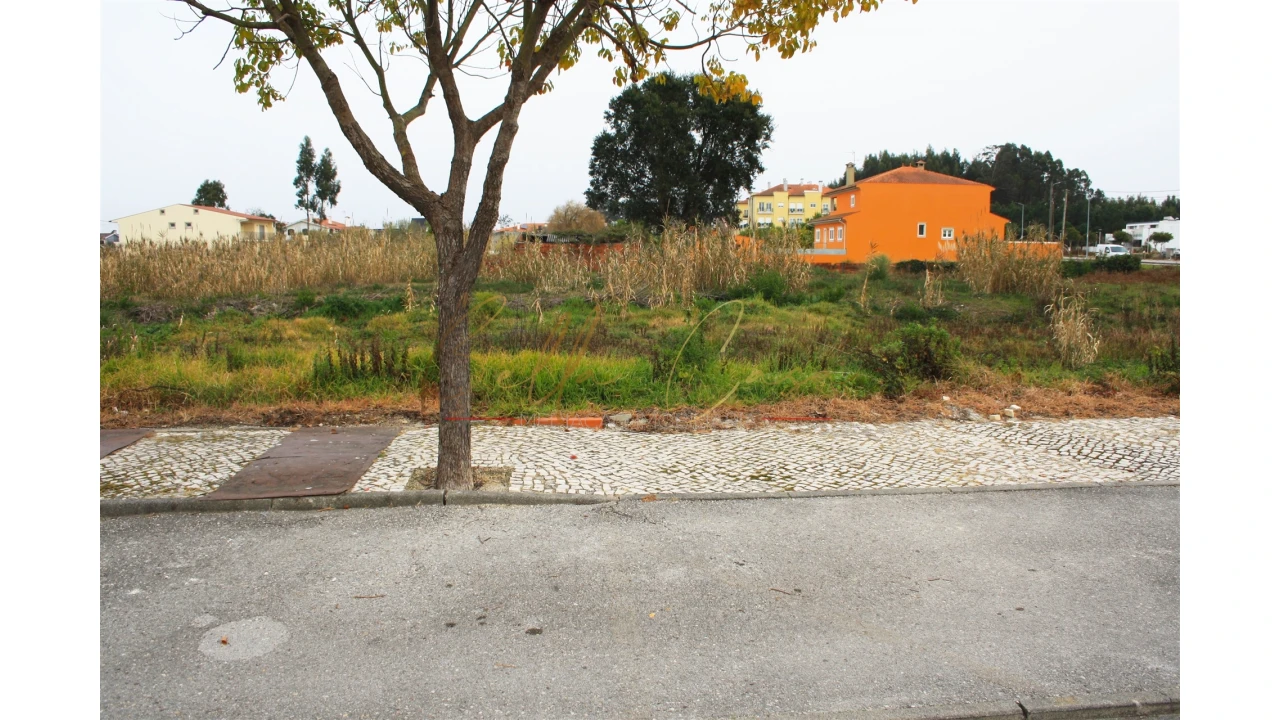 Terreno para Venda em Vagos e Santo António Foto 1