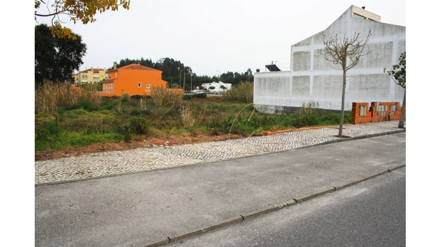 Terreno para Venda em Vagos e Santo António Foto 5