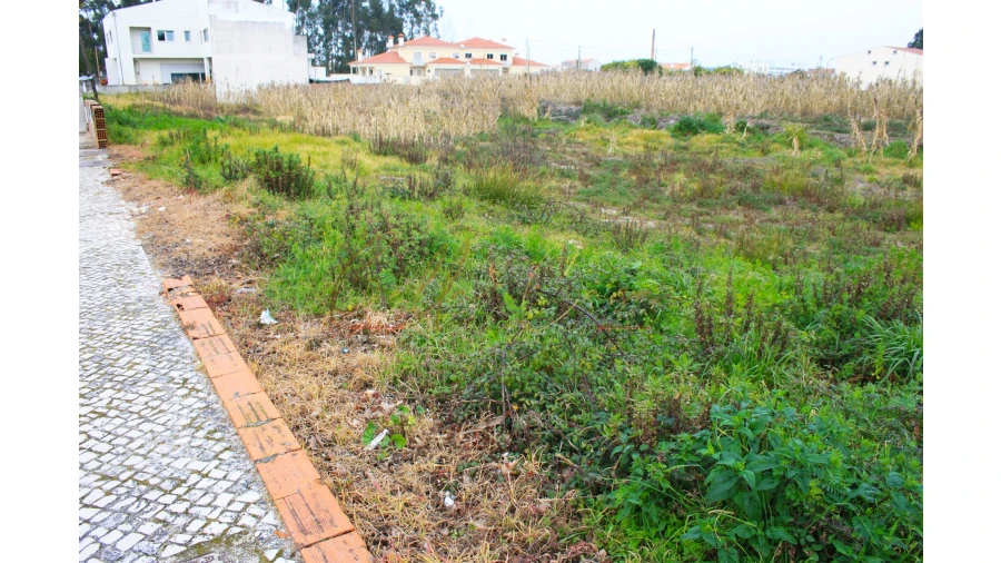 Terreno para Venda em Vagos e Santo António Foto 6