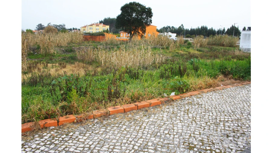 Terreno para Venda em Vagos e Santo António Foto 4