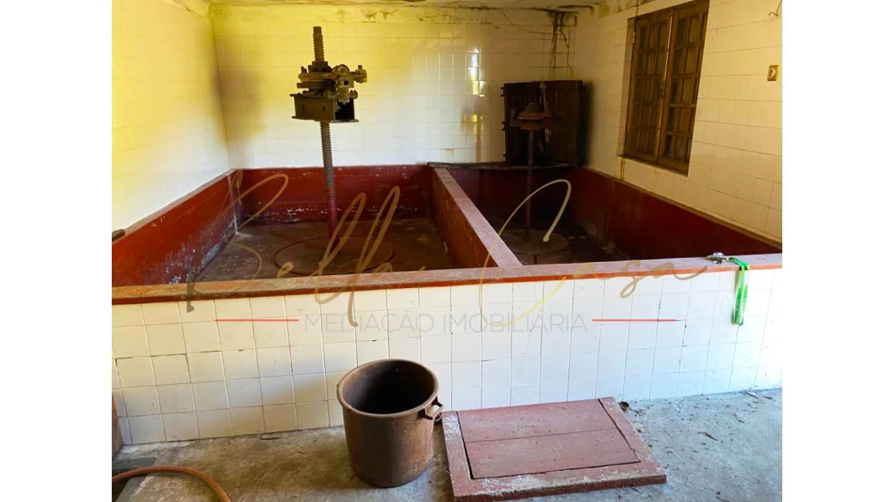 Moradia T5 para Venda em Lamego (Almacave e Sé) Foto 42