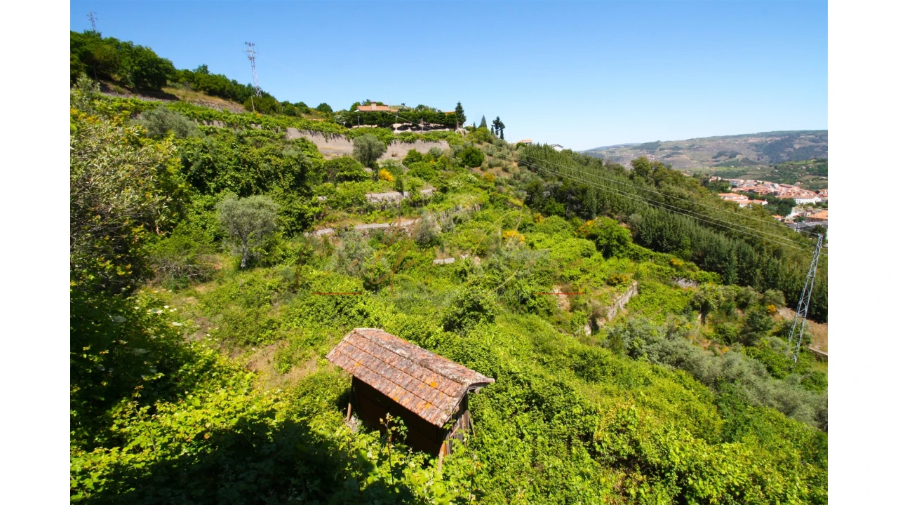 Moradia T5 para Venda em Lamego (Almacave e Sé) Foto 27