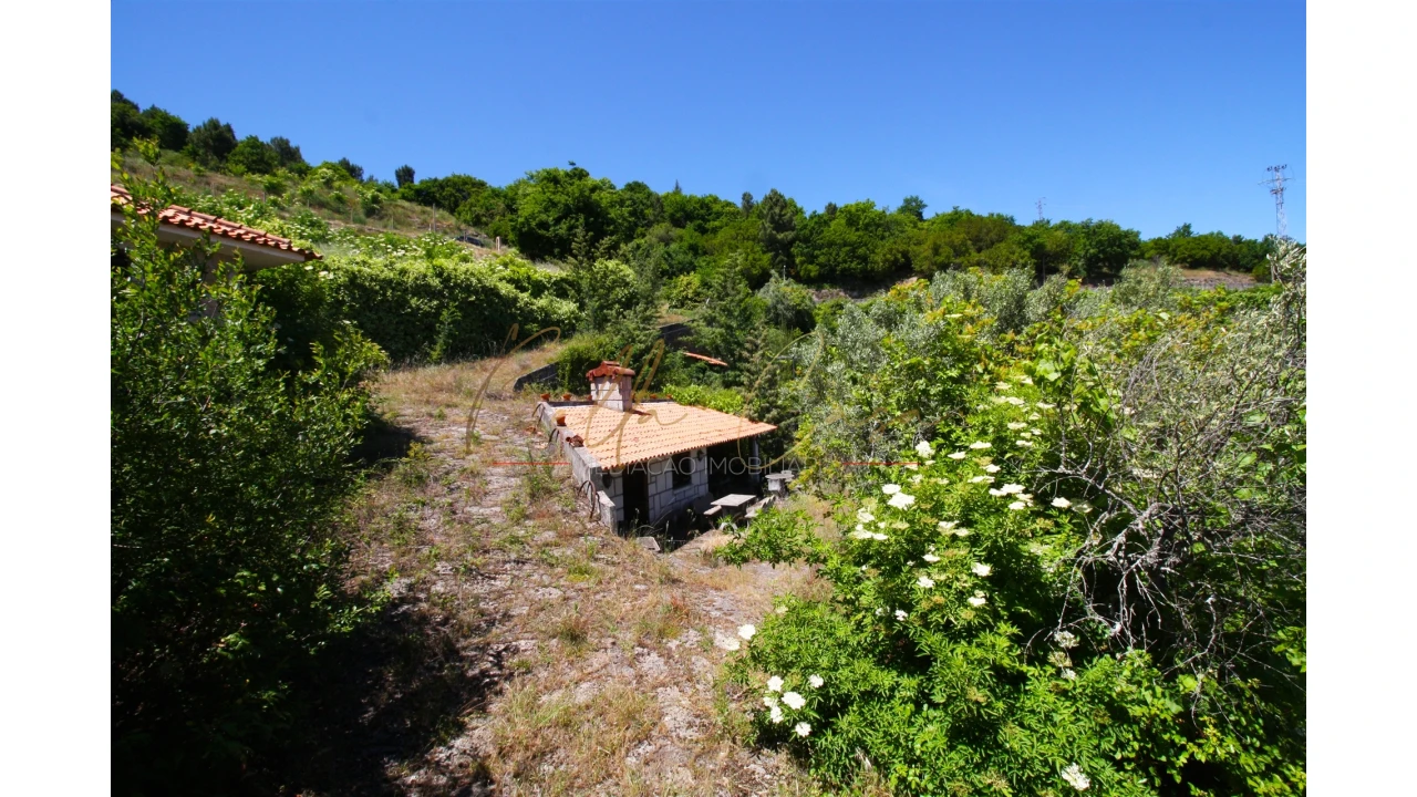 Moradia T5 para Venda em Lamego (Almacave e Sé) Foto 26
