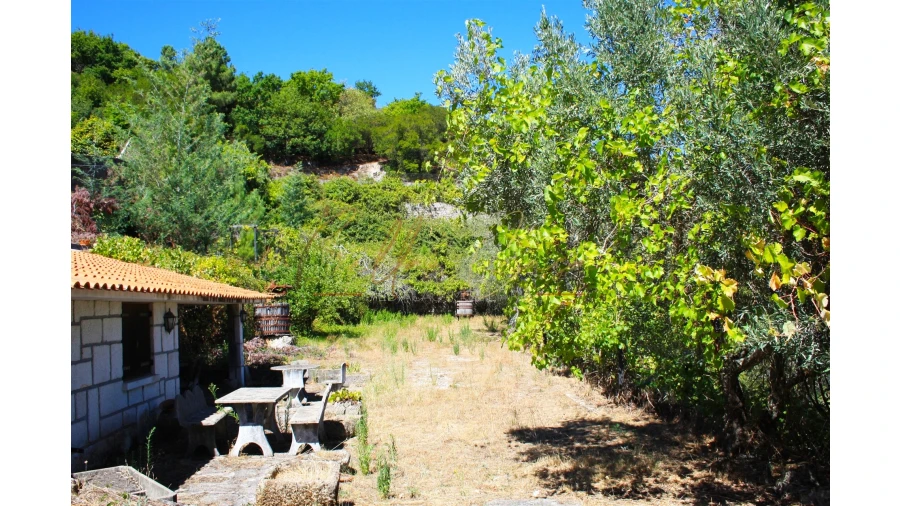 Moradia T5 para Venda em Lamego (Almacave e Sé) Foto 44